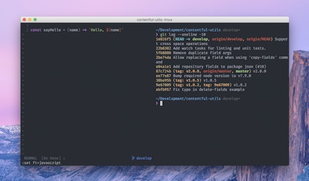 Neovim on the left, terminal on the right, all running inside a tmux session in iTerm2.